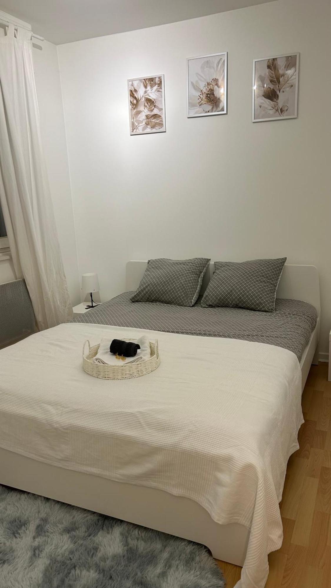 Appartement Frontiere Luxembourg Diedenhofen Exterior foto